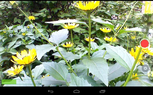 ดาวน์โหลด Larix Broadcaster ล่าสุด – สตรีมสดมืออาชีพฟรีบน Android - Screenshot 3