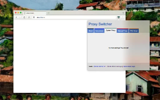 Proxy Switcher and Manager ดาวน์โหลดฟรี – จัดการ Proxy ได้ง่ายบน Chrome - Screenshot 3