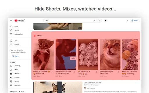 ดาวน์โหลด YT Tweaks ล่าสุด – ปรับแต่ง YouTube บน Chrome และ Firefox ฟรี - Screenshot 1
